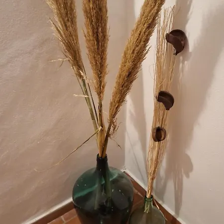 Residenza Il Vicolo Del Corso מאסה מריטימה